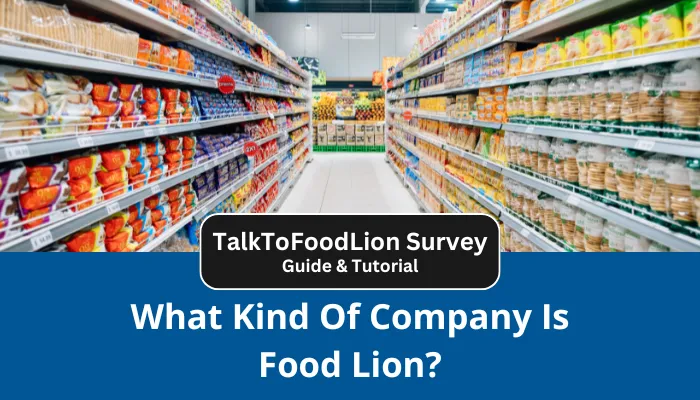 What Kind Of Company Is Food Lion?