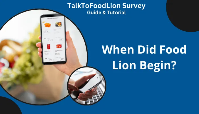 When Did Food Lion Begin?
